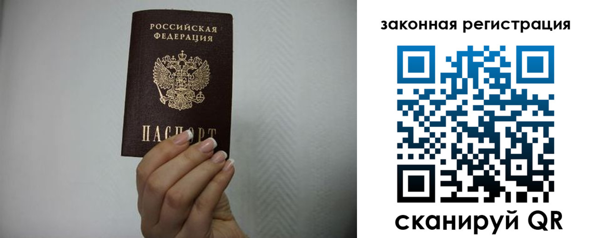 прописка в Тимашёвске